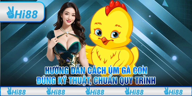 Hướng Dẫn Cách Úm Gà Con Đúng Kỹ Thuật, Chuẩn Quy Trình