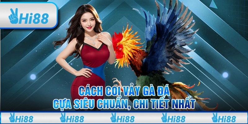Cách Coi Vảy Gà Đá Cựa Siêu Chuẩn, Chi Tiết Nhất