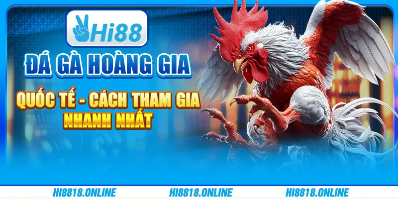 Đá gà Hoàng gia quốc tế - Cách tham gia nhanh nhất