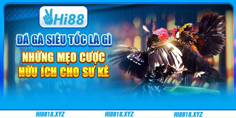 Đá gà siêu tốc là gì - Những mẹo cược hữu ích cho sư kê