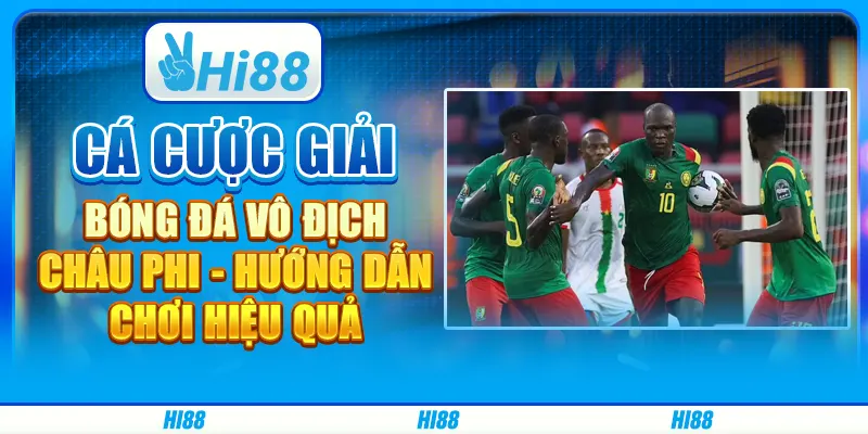 Cá cược giải bóng đá vô địch châu Phi - Hướng dẫn chơi hiệu quả