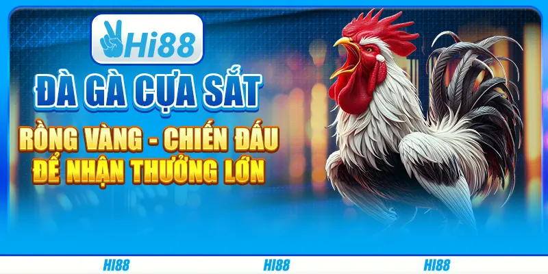 Đá gà cựa sắt - Loại hình kịch tính nên thử ngay