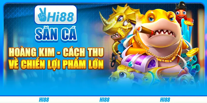Săn cá Hoàng Kim - Cách thu về chiến lợi phẩm lớn