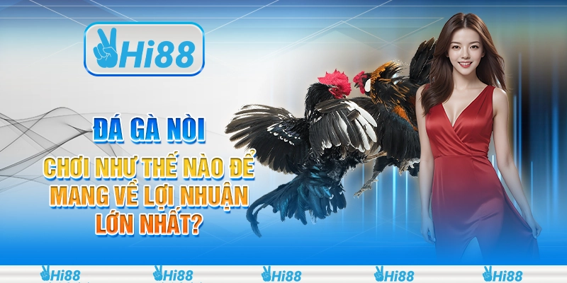 Đá gà nòi - Chơi như thế nào để mang về lợi nhuận lớn nhất?