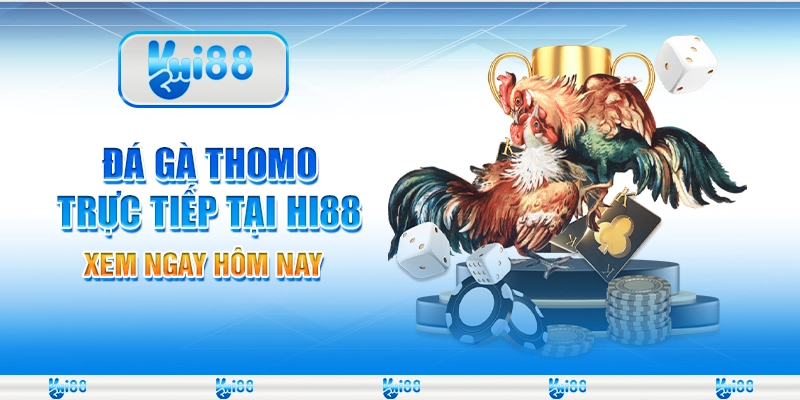 Đá Gà Thomo Trực Tiếp Tại Nhà Cái Hi88 – Xem Ngay Hôm Nay