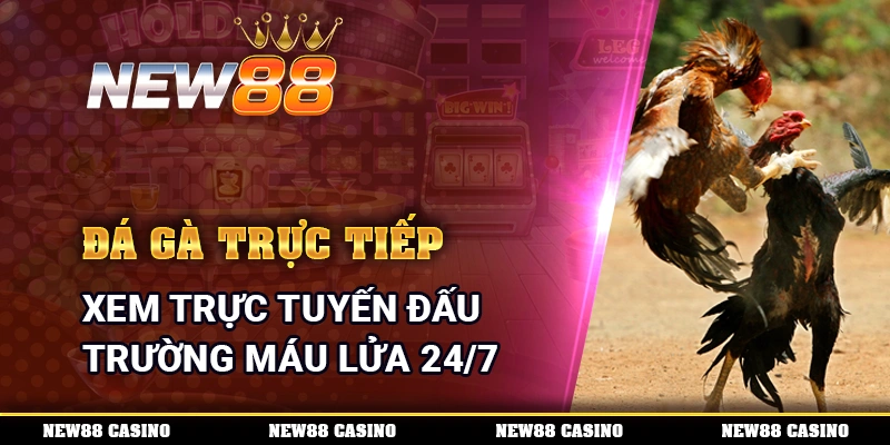 đá gà trực tiếp