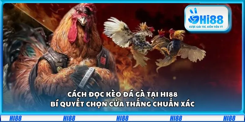 Cách đọc kèo đá gà tại Hi88: Bí quyết chọn cửa thắng chuẩn xác