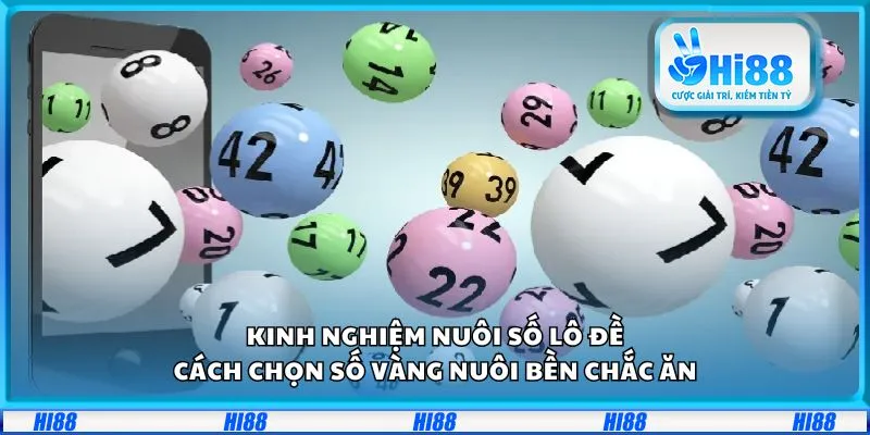 Kinh nghiệm nuôi số lô đề: Cách chọn số vàng nuôi bền chắc ăn